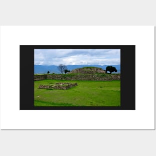 Site archéologique de Monte Alban, Oaxaca Mexique Posters and Art